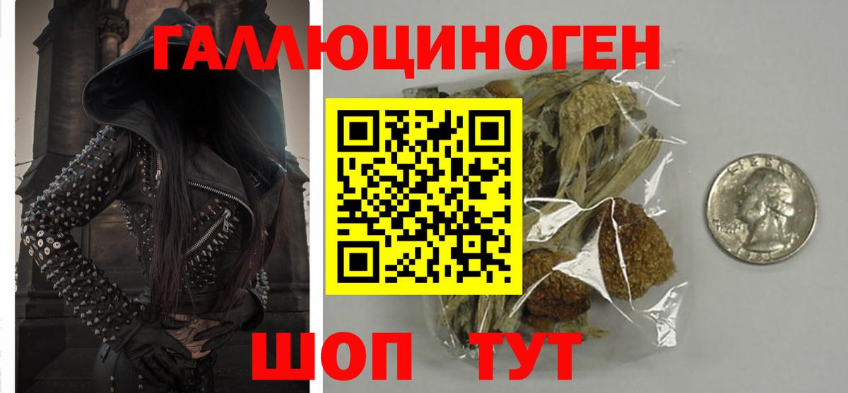 Псков  Псилоцибиновые грибы Psilocybe  Псилоцибиновые грибы Psilocybine cubensis  Вход с VPN 